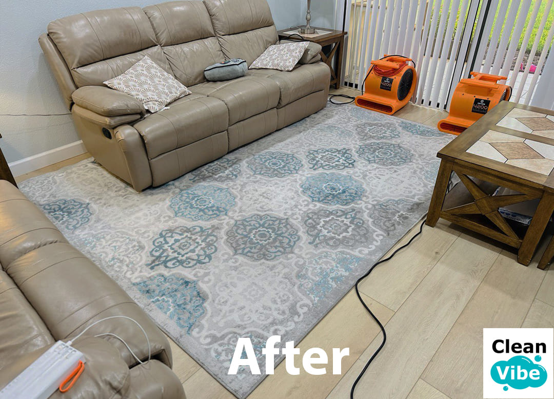 Brightened rug and carpet after deep floor treatment
