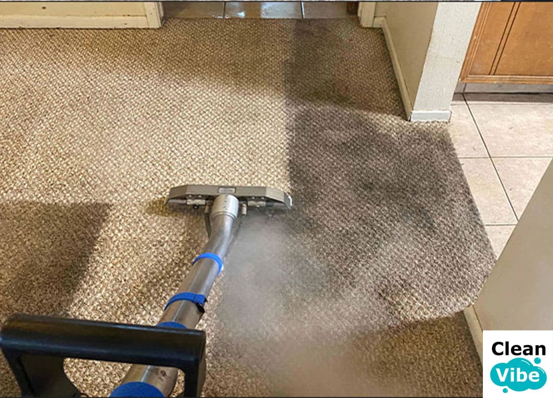 Steam cleaning carpet to remove dirt and odors - noticeable improvement in freshness