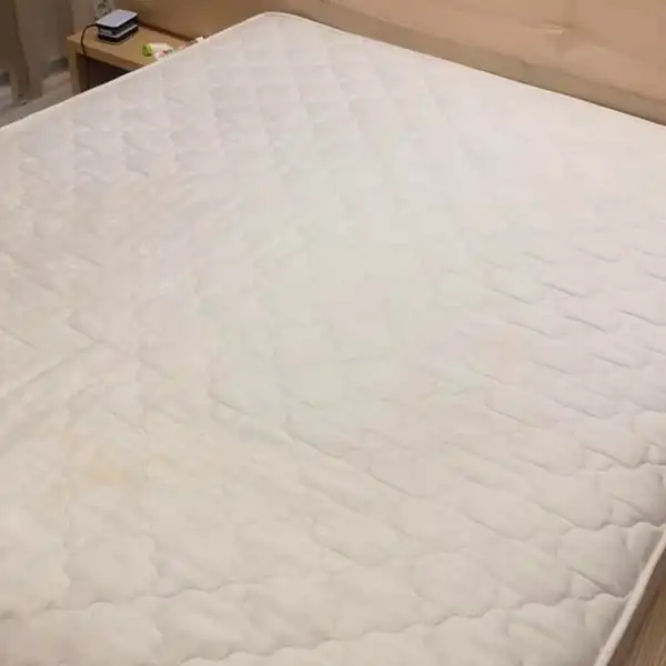 Restored fabric texture post steam clean