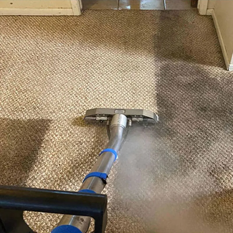 Half-cleaned carpet showing stain removal in action
