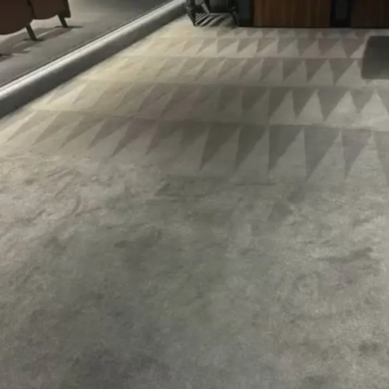 Light carpet with visible clean sections post-cleaning