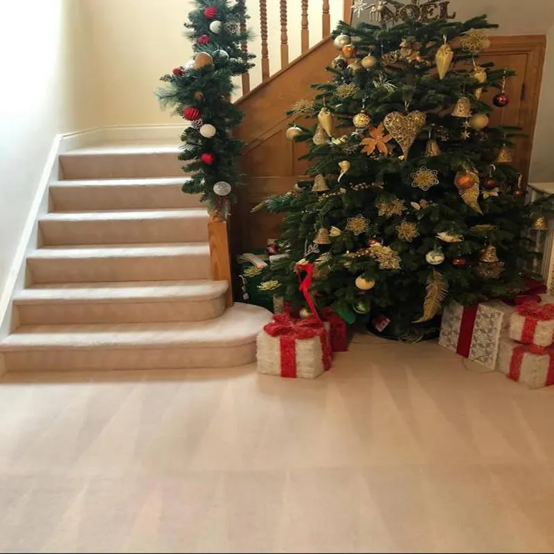 Staircase carpet fully cleaned for the holidays