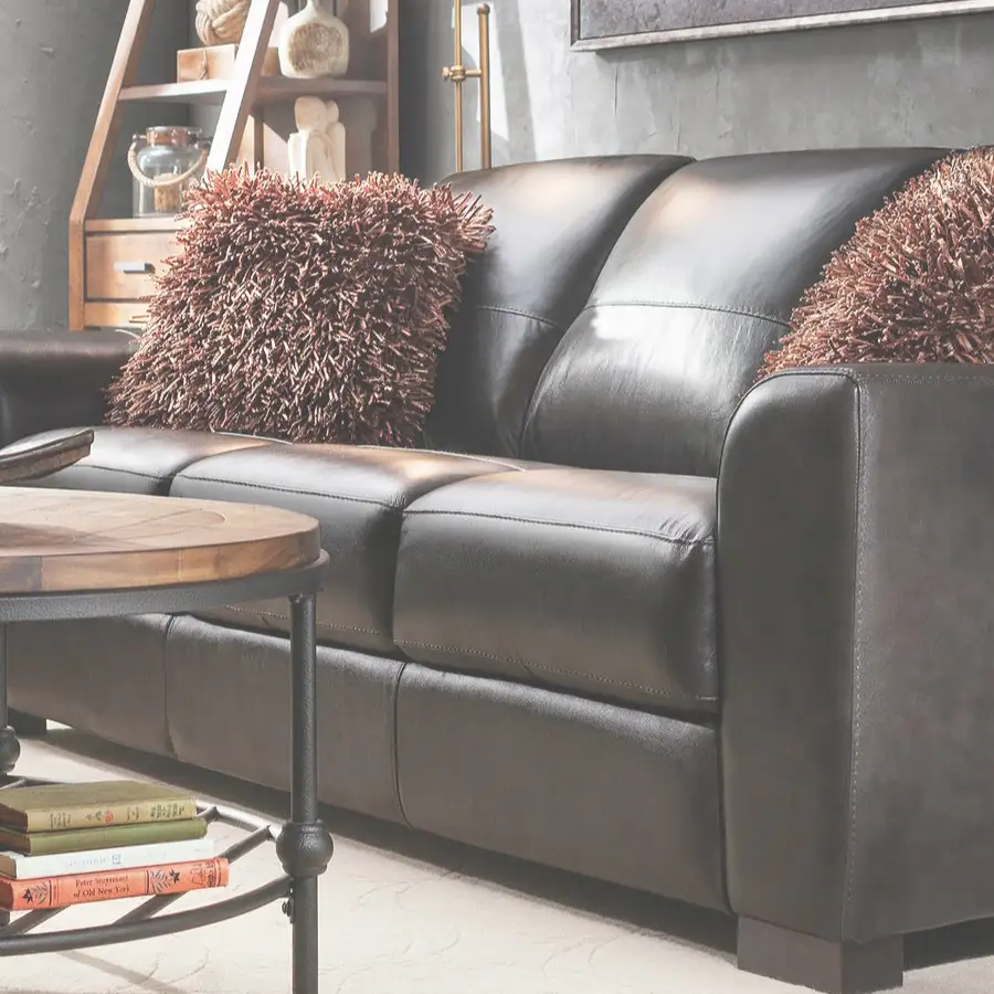 Leather upholstery cleaning in San Diego