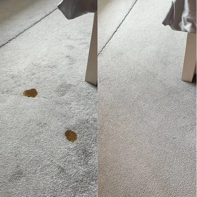 Rug After Stain And Odor Removal Service