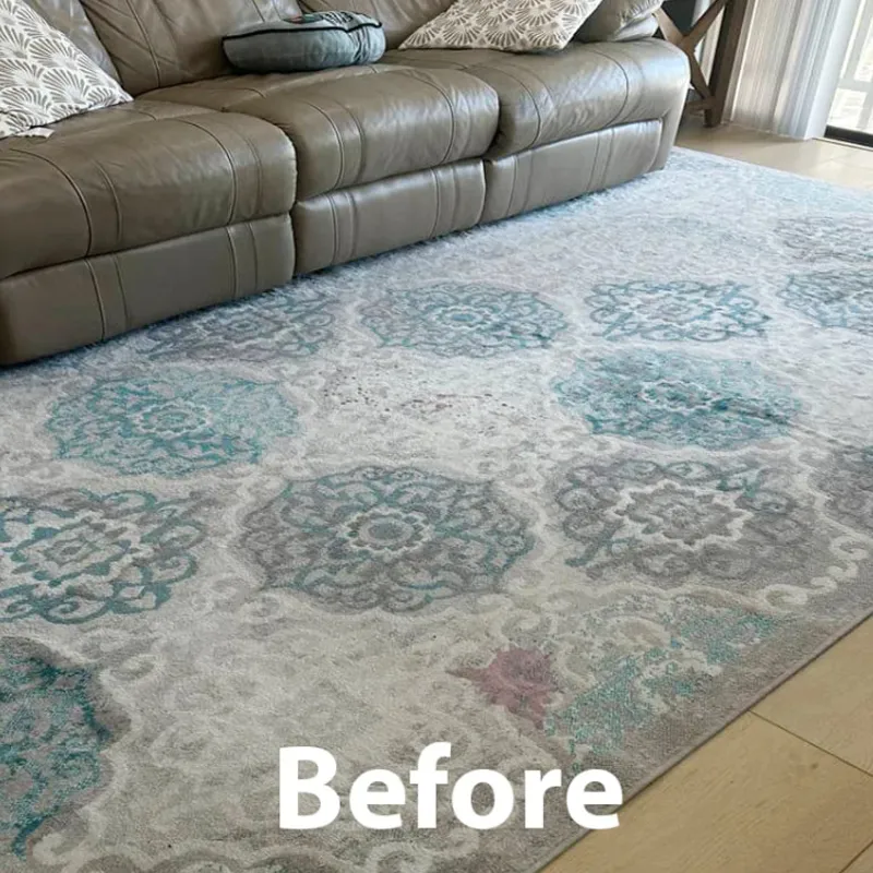 Rug Before Pet Stain Removal In Living Room