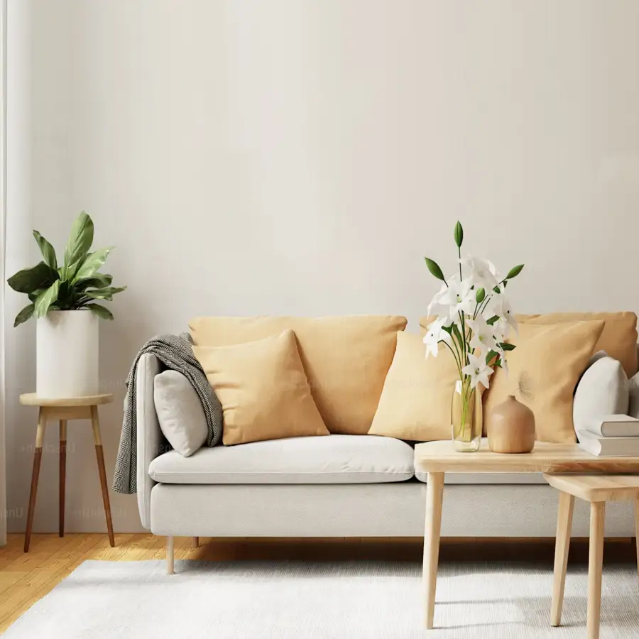 Upholstery cleaning in San Diego